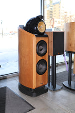 Bowers & Wilkins B&W 802 Diamond - $5,995