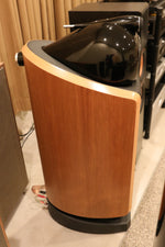 Bowers & Wilkins B&W 802 Diamond - $5,995